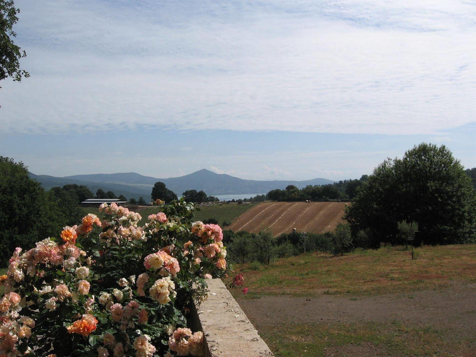 Agriturismo La Gismonda ブラッチャーノ エクステリア 写真